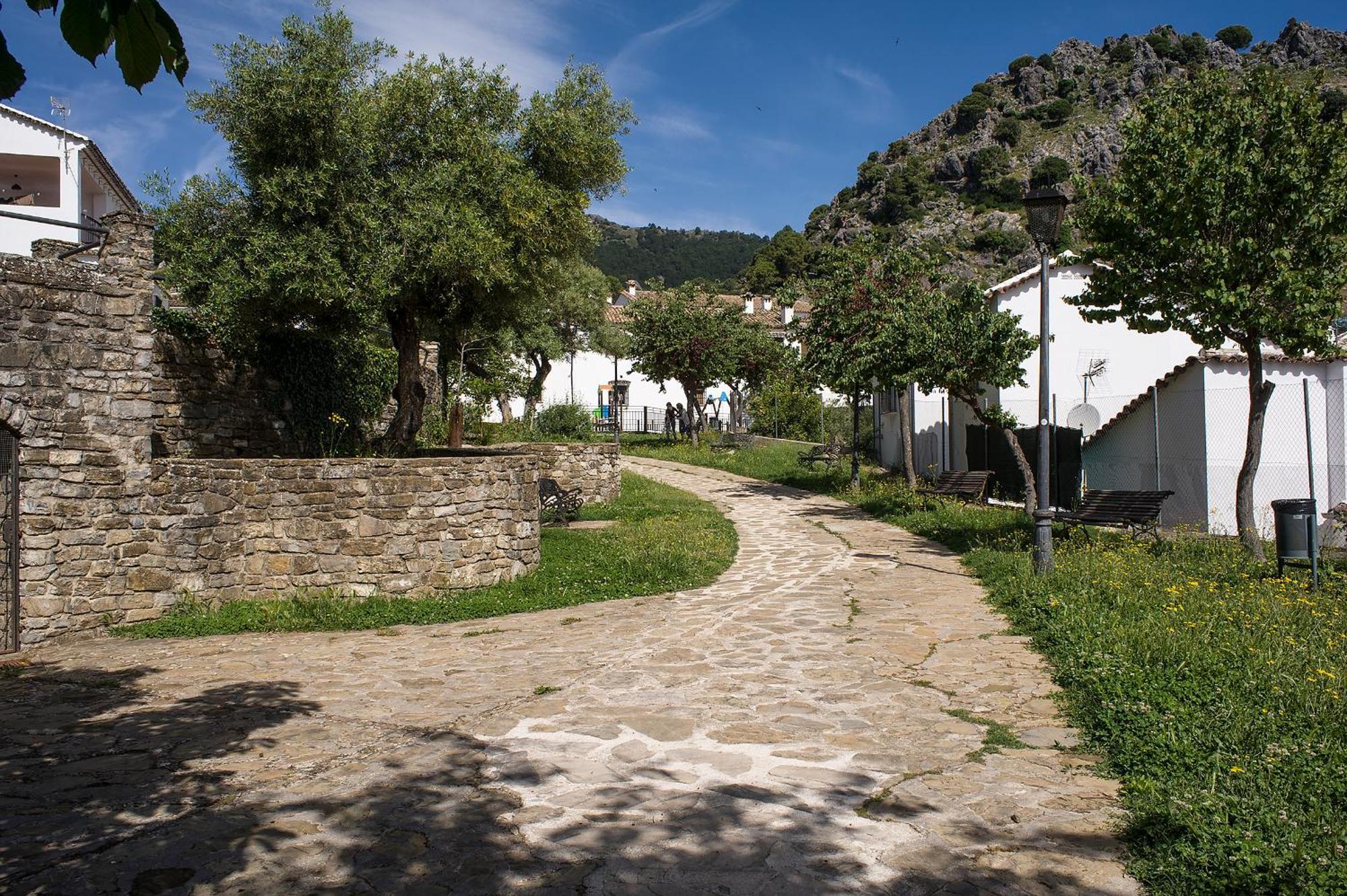 Casa Rural La Callejita Грасалема Экстерьер фото